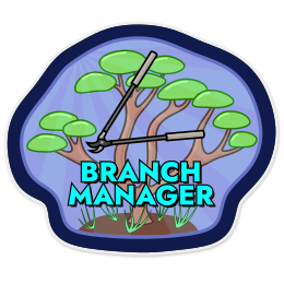 Branch Manager